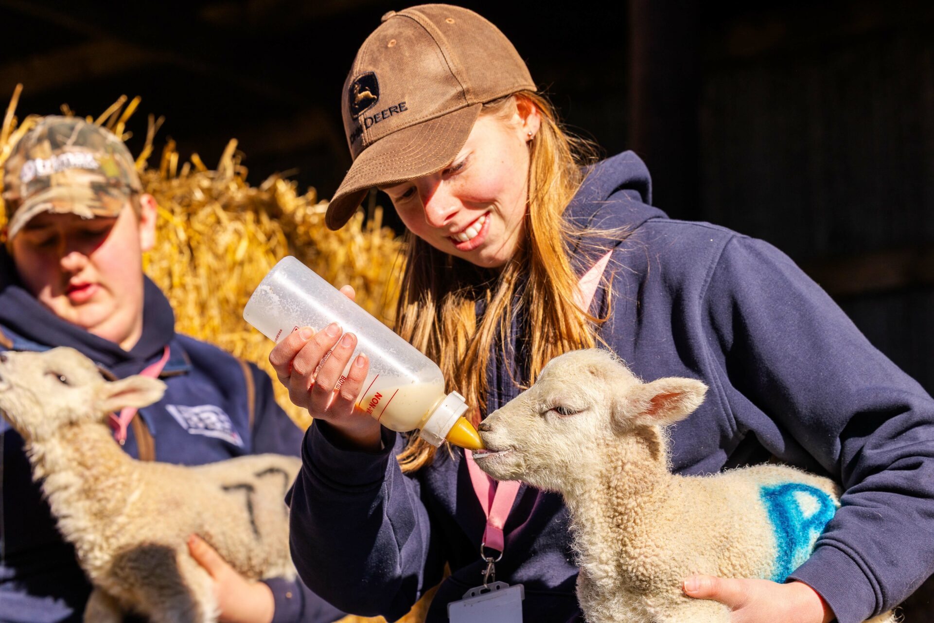 NC Kirkley Agriculture Farm Lamb FE 87 Web