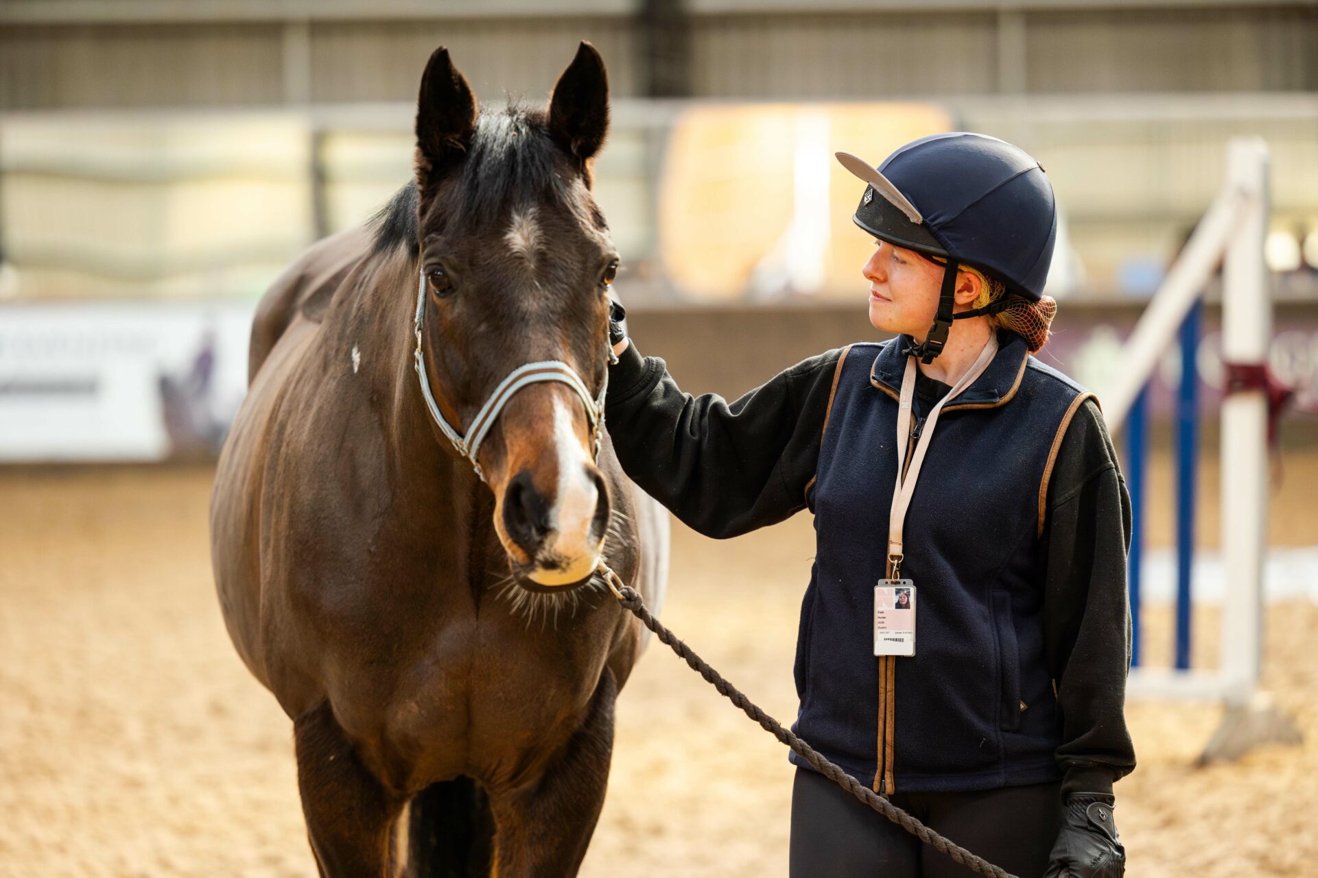 NC Kirkley Equine Horse FE 309 Web